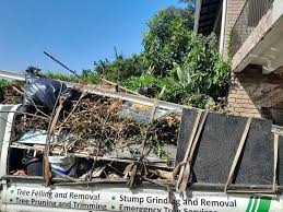 Best Demolition Debris Removal  in Roanoke, IL
