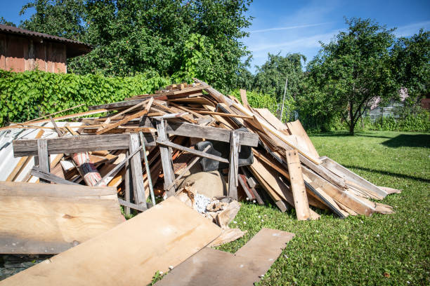 Best Hoarding Cleanup  in Roanoke, IL
